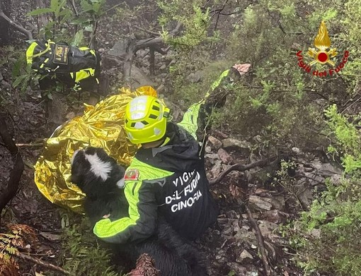 Ritrovato dal vigile del fuoco imperiese Denis Bianchi il fungaiolo disperso nei boschi di Arenzano