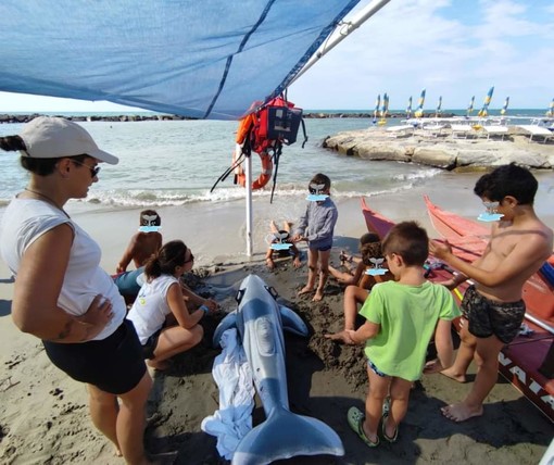 Animale spiaggiato a Santo Stefano, i bambini simulano un intervento di soccorso