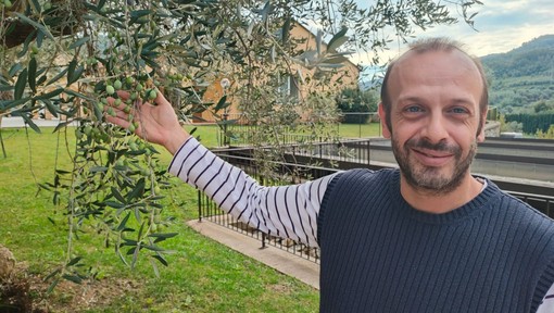 La stagione olearia entra nel vivo, il punto con Giacomo Rinaldi dell'Antica Azienda  Raineri (video)