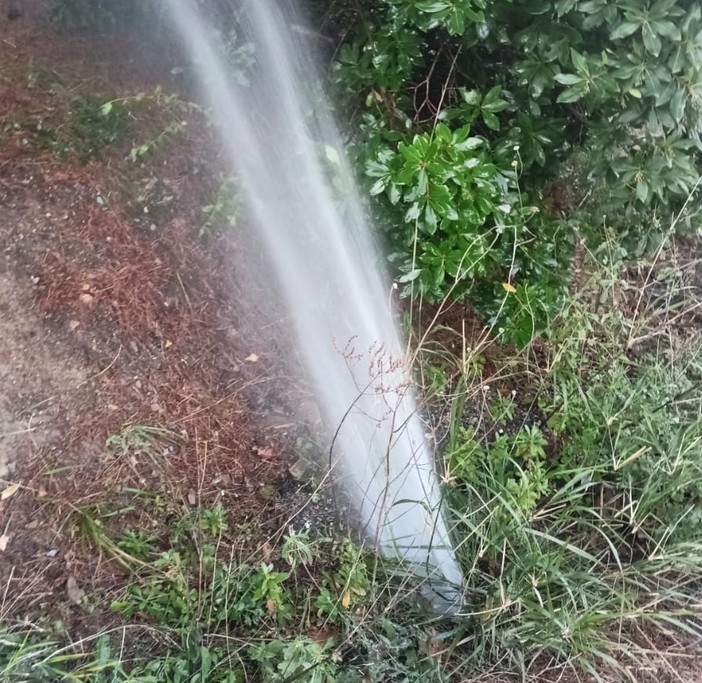 Strada di Panegai nuovamente  sommersa dall'acqua: il fantasma delle perdite torna a tormentare Imperia