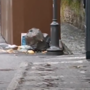 Degrado a Imperia e rifiuti abbandonati fuori dai cassonetti: i gabbiani  banchettano (video)