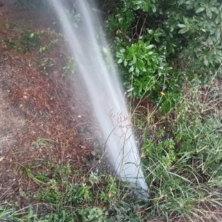 Strada di Panegai nuovamente  sommersa dall'acqua: il fantasma delle perdite torna a tormentare Imperia