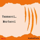 LA GRAFFIATA. Vannacci... Mortacci