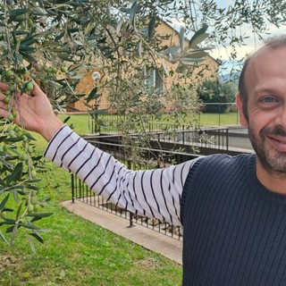 La stagione olearia entra nel vivo, il punto con Giacomo Rinaldi dell'Antica Azienda  Raineri (video)