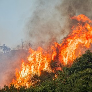 Imperia, l'elicottero regionale per domare le fiamme a Cantalupo