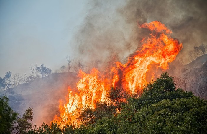 Imperia, l'elicottero regionale per domare le fiamme a Cantalupo