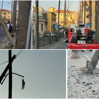 Incidente a Imperia, auto abbatte palo della luce in via Airenti (foto)