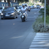 Imperia, la vegetazione toglie visibilità in lungomare Vespucci: una minaccia per la sicurezza (video)