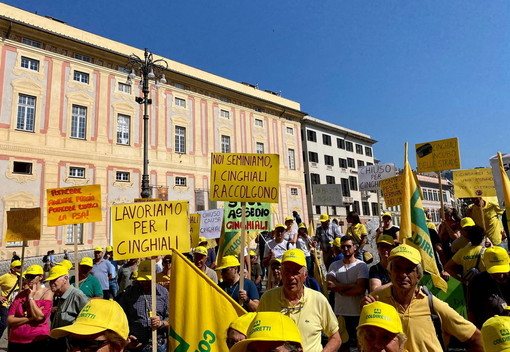 Emergenza cinghiali, Coldiretti in piazza: “La situazione è fuori controllo”