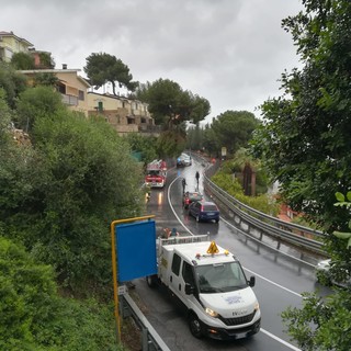 Maltempo, ramo pericolante blocca il traffico a Cervo