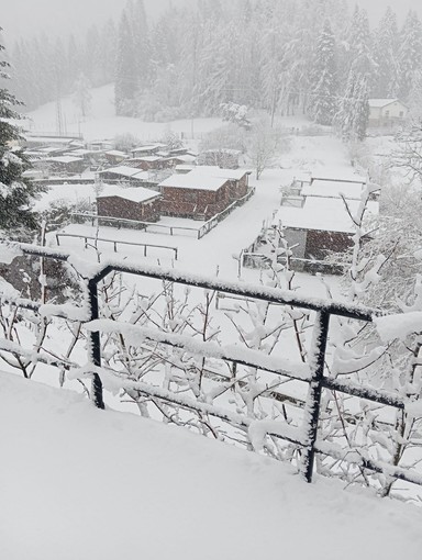 Dopo le piogge e le nevicate allerta valanghe nel settore Alpi Liguri Sud