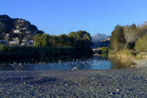 Earth Day all’Oasi del Nervia, visite guidate e &quot;Tavolo di lavoro sull'ambiente&quot;