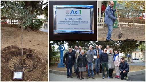 Sanremo: Giornata Nazionale del personale sanitario, ASL1 pianta olivo nei giardini di Bussana