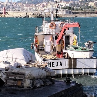 Chiusa la stagione della pesca all’acciuga nel Mar Ligure, le lampare hanno disarmato i pescherecci