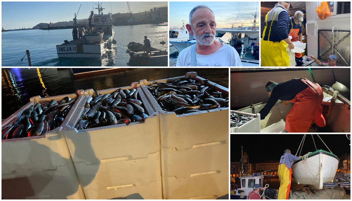 &quot;E la chiamano Estate...&quot;, notte con i pescatori del porto di Oneglia (foto)