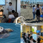 Un nuovo progetto dei Delfini del ponente per la salvaguardia delle tartarughe marine