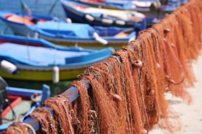 Approvato il rinnovo della deroga per la pesca del rossetto, buone notizie per i pescatori della Liguria