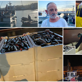 &quot;E la chiamano Estate...&quot;, notte con i pescatori del porto di Oneglia (foto)