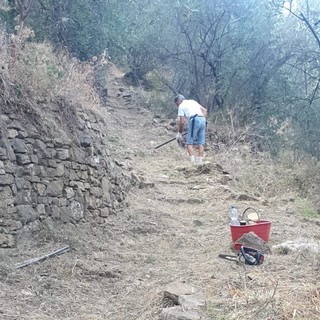 I sentieri di Civezza ripuliti dal gruppo Alpini della Valle di San Lorenzo