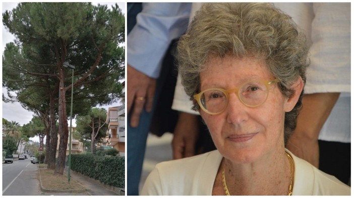 Bordighera: Mara Lorenzi “Come giustificare l’abbattimento di alberi sani per costruire piste ciclabili?”