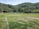 Rugby Touch al “Pino Valle”: il torneo prende vita per tutto il mese di luglio