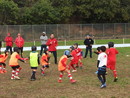 Reds Rugby Team in campo i piccolissimi  e le 'Barbarians'  (video)