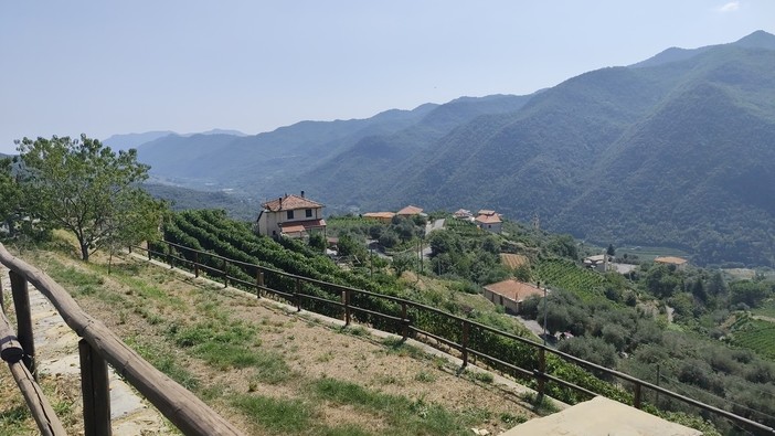 In Valle Arroscia nasce “Ranzo is Wine”, iniziativa volta a valorizzare il patrimonio vitivinicolo e culturale del territorio