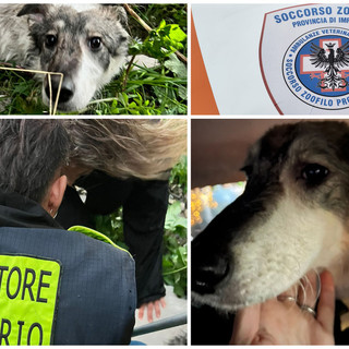 Ritrovata ferita dopo ore di ricerche la cagnolina dispersa nel torrente Impero (foto)