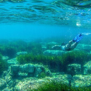 Ferragosto sott’acqua per conoscere la fauna e la flora delle Ratteghe di Imperia