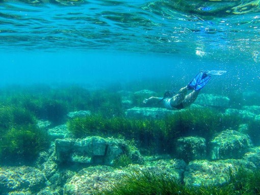 Ferragosto sott’acqua per conoscere la fauna e la flora delle Ratteghe di Imperia