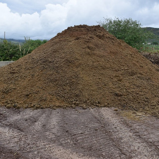 Olivicoltura, la Provincia autorizza il deposito della sansa  nell’impianto di compostaggio a Bussana