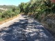 Camion sulla strada per Montegrazie, strada pericolosa alle spalle di Porto Maurizio