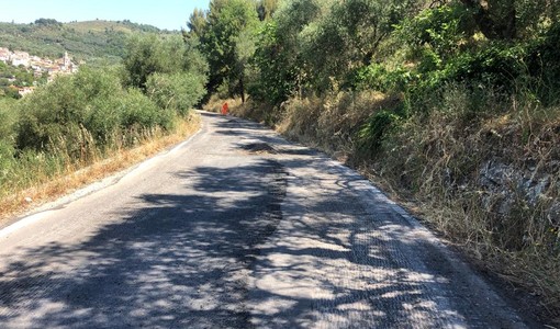 Camion sulla strada per Montegrazie, strada pericolosa alle spalle di Porto Maurizio