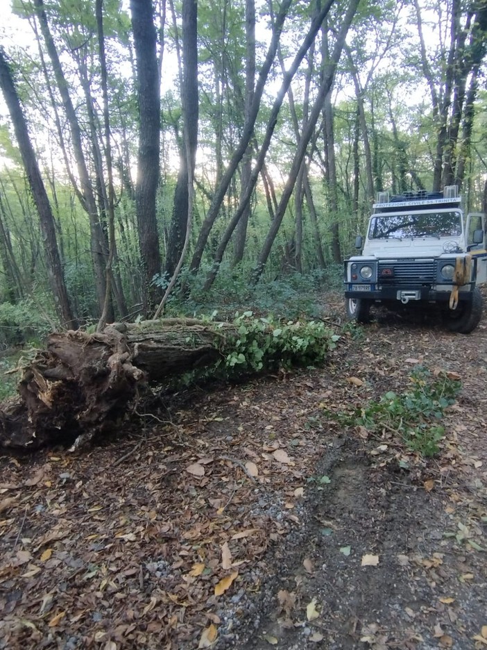 Sistemazione della strada al Faudo, Abbo a Scajola: &quot;Non è di competenza della Provincia&quot;