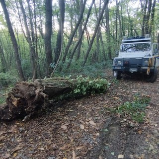 Sistemazione della strada al Faudo, Abbo a Scajola: &quot;Non è di competenza della Provincia&quot;