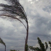 Meteo, avviso per vento forte, previste raffiche fino a 100 km/h