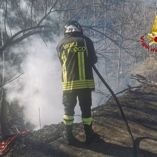 Imperia, vasto incendio di sterpaglie minaccia alcune case