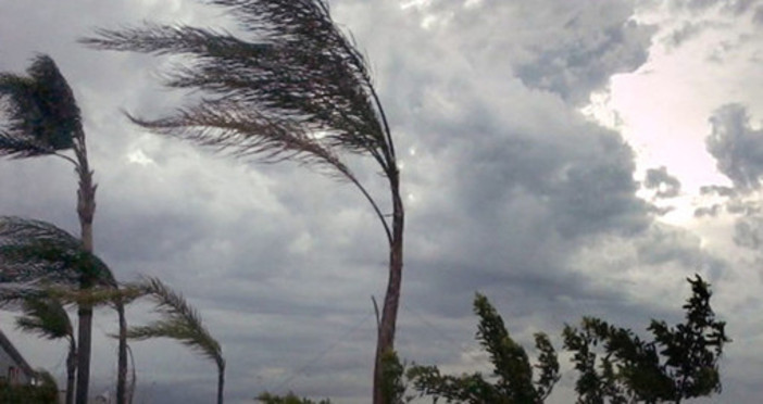 Meteo, avviso per vento forte, previste raffiche fino a 100 km/h