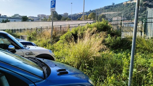 Degrado, erbacce e rifiuti: la stazione di Imperia sul lato Argine Sinistro nell’oblio (video)