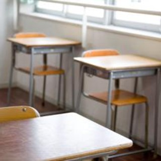 &quot;Troppi stranieri in classe&quot;, 12 bambini ritirati dalla scuola