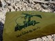 Libano, Hezbollah &quot;accetta proposta Usa per tregua con Israele&quot;