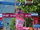 Giro d'Italia, oggi 21esima e ultima tappa: orario, come vederla in tv